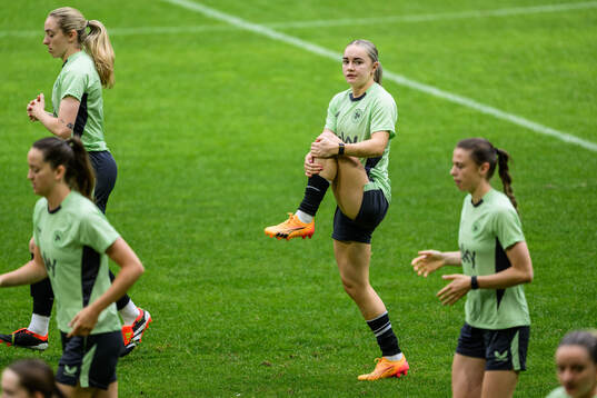 Players of Ireland at a training session