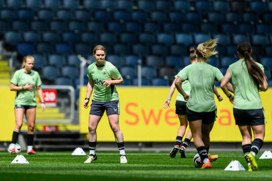 Players of Ireland at a training session