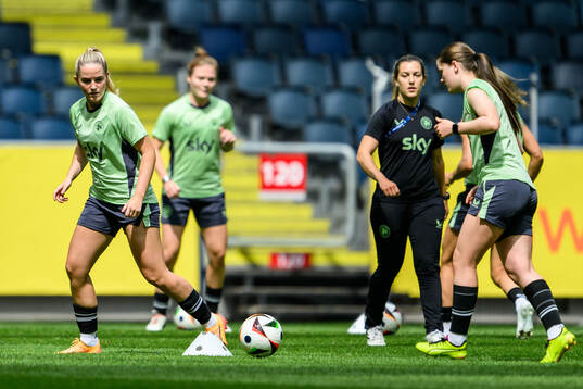 Players of Ireland at a training session