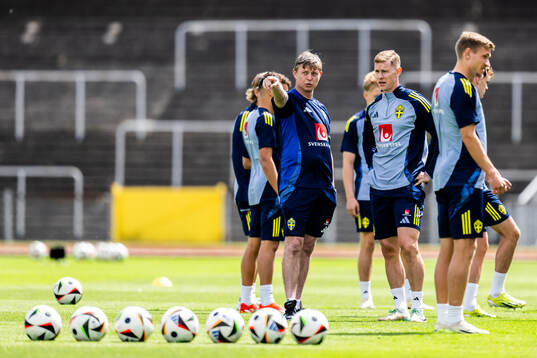 Head coach Jon Dahl Tomasson and Emil Krafth of the Swedish