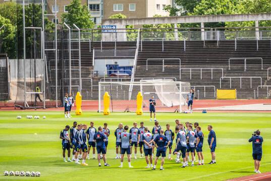 Players of the Swedish men's national football team