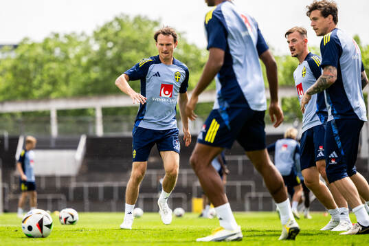 Hjalmar Ekdal of the Swedish men's national football team