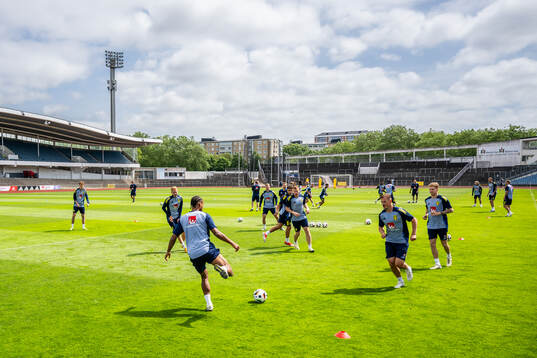 Players of the Swedish men's national football team
