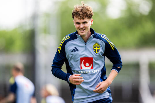 Williot Swedberg of the Swedish men's national football team