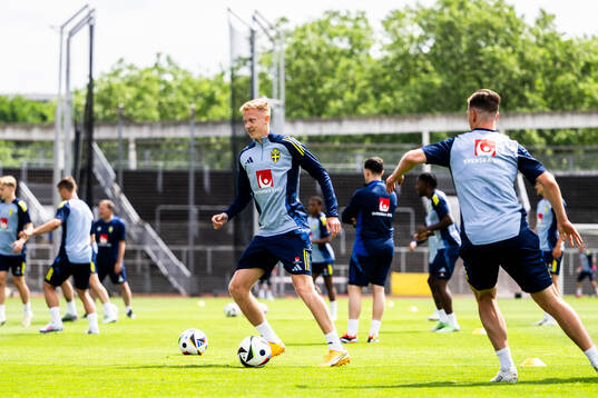 Hugo Larsson of the Swedish men's national football team