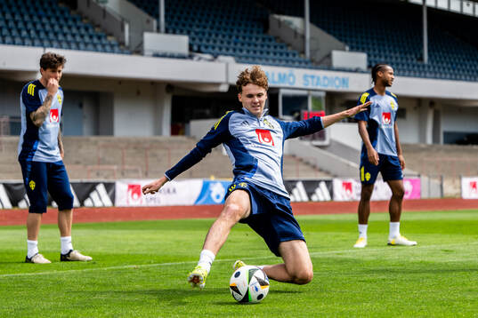 Williot Swedberg of the Swedish men's national football team