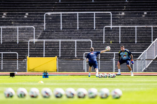 Goalkeeper Kristoffer Nordfeldt of the Swedish men's