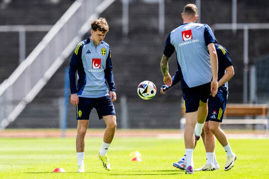 Williot Swedberg of the Swedish men's national football team