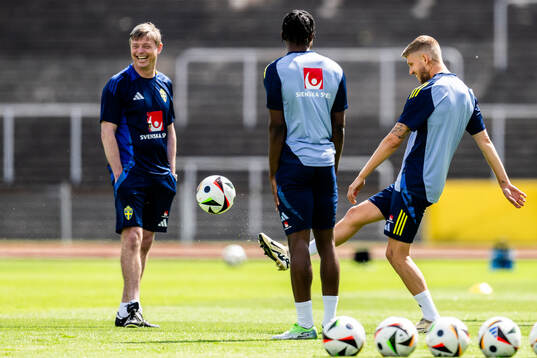 Head coach Jon Dahl Tomasson and Anton Salétros of the