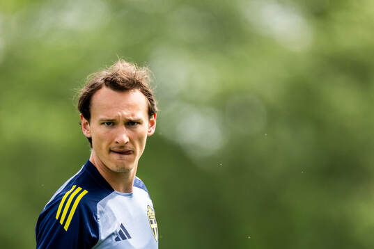 Hjalmar Ekdal of the Swedish men's national football team