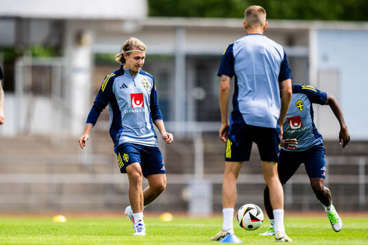 Sebastian Nanasi of the Swedish men's national football team