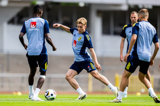 Daniel Svensson of the Swedish men's national football team