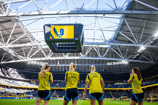 Players of Sweden, with a warm up shirt dedicated to team