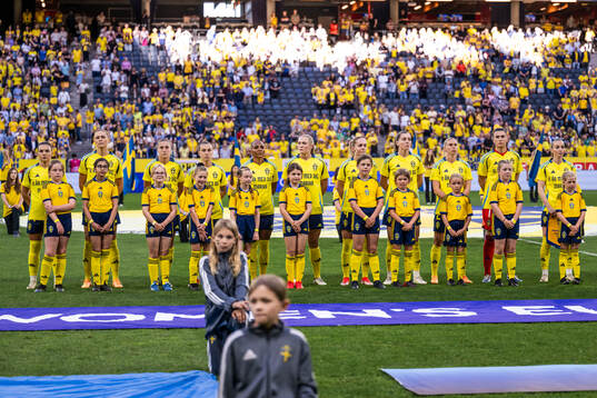 Players of Sweden