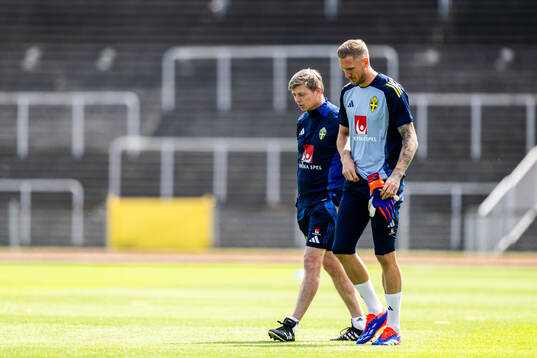 Head coach Jon Dahl Tomasson and goalkeeper Robin Olsen of