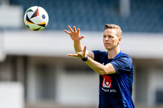Goalkeeper coach Maths Elfvendal of the Swedish men's