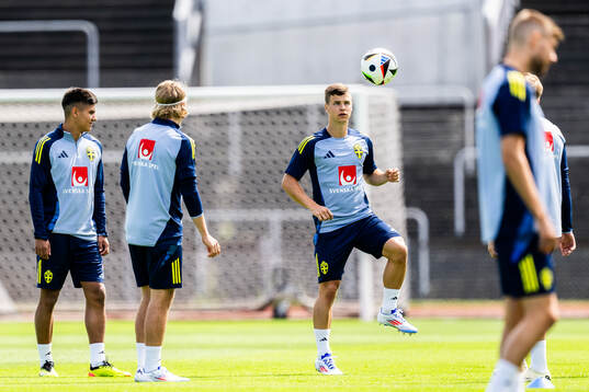 Samuel Dahl of the Swedish men's national football team