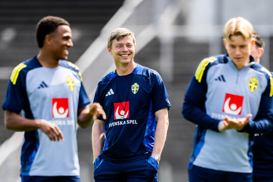 Head coach Jon Dahl Tomasson of the Swedish men's national