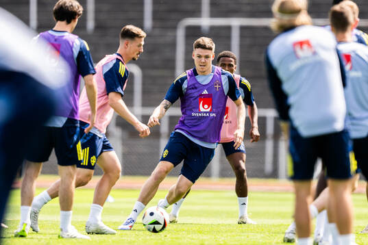 Emil Holm of the Swedish men's national football team