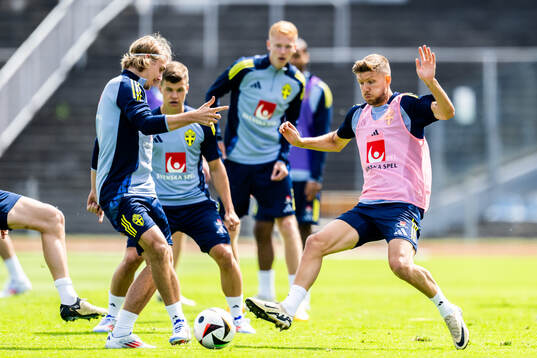 Emil Forsberg and Anton Salétros of the Swedish men's