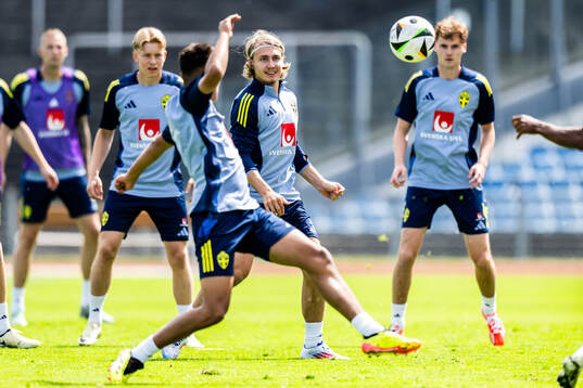 Sebastian Nanasi of the Swedish men's national football team