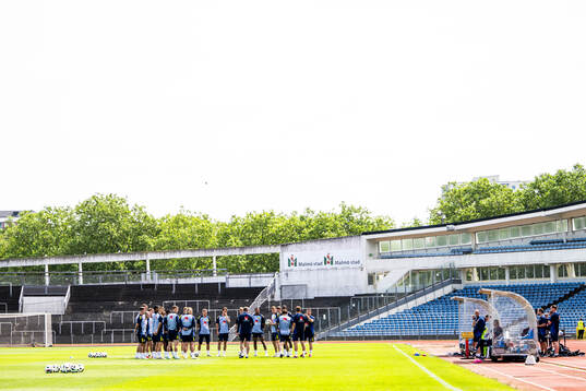 Players of the Swedish men's national football team