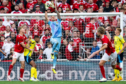 Goalkeeper Robin Olsen of Sweden