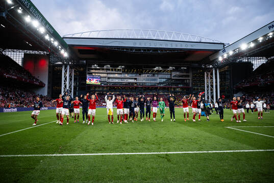 Players of Denmark celebrate