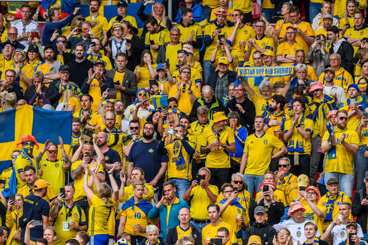 during the international friendly football match between