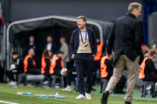 Head coach Jon Dahl Tomasson of Sweden