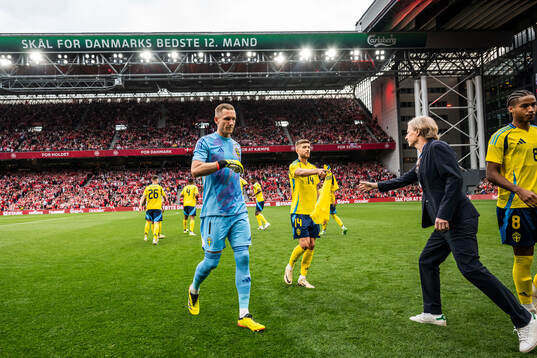 goalkeeper Robin Olsen and Anton Salétros of Sweden