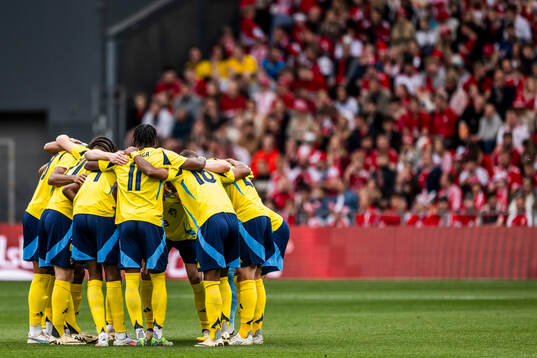 Players of Sweden