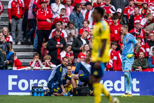 Hjalmar Ekdal of Sweden is injured