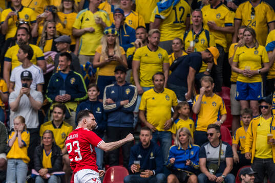 Pierre-Emile Højbjerg of Denmark celebrates his 1-0 goal