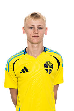 Viggo Karlsson