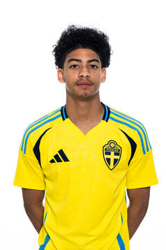 Dante Figueroa Ndziba