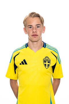 Carl Selfvén