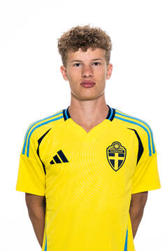 Viggo Andersson