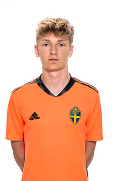 Viktor Alestig