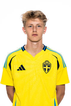 Valter Sedin