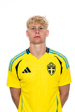 Fabian Björklund