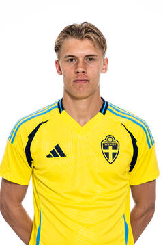 Viggo Elfström