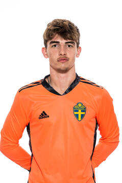 Villy Strindlund Larsen