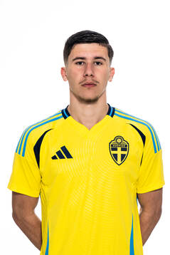 Edvin Hadzic