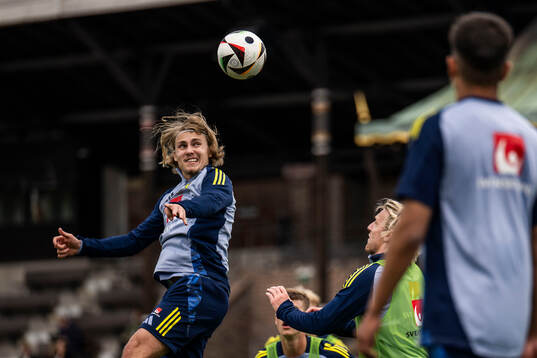 Sebastian Nanasi of the Swedish men's national football team