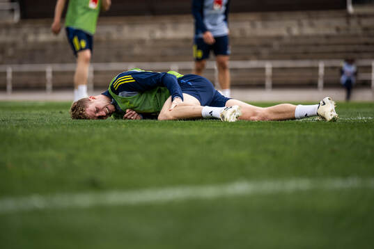 Samuel Gustafson of the Swedish men's national football