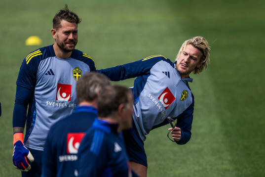 goalkeeper Kristoffer Nordfeldt and Emil Forsberg of the