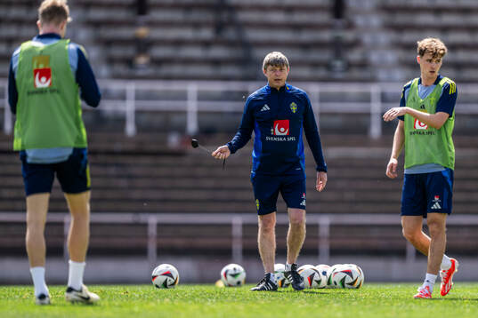 Head coach Jon Dahl Tomasson of the Swedish men's national
