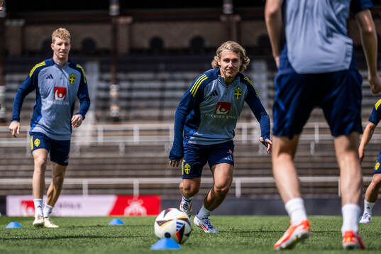Sebastian Nanasi of the Swedish men's national football team