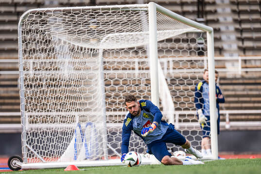 goalkeeper Kristoffer Nordfeldt of the Swedish men's